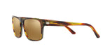 0002F9 - Havana - Brown Mirror Bronze