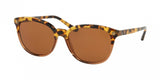 Tory Burch 7131 Sunglasses