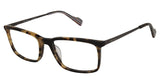Ben Sherman BSCHESTER Eyeglasses
