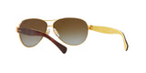 106/T5 - Gold - Brown Gradient Polarized