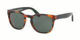 Polo 4099 Sunglasses