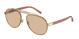 Dolce & Gabbana 2235 Sunglasses