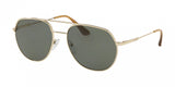 Prada Conceptual 55US Sunglasses