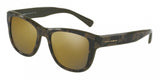 Dolce & Gabbana 4284 Sunglasses