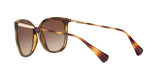500313 - Havana - Gradient Brown