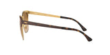 900851 - Havana - Clear Gradient Brown