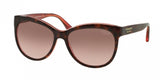 Coach 8055 Sunglasses