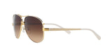 301913 - White - Brown Gradient