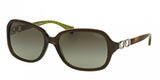 Coach Beatrice 8019 Sunglasses