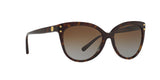 3006T5 - Havana - Brown Gradient Polarized