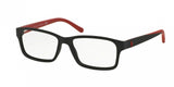 Polo 2133 Eyeglasses