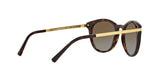 3106T5 - Havana - Brown Gradient Polarized