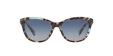 16924L - Havana - Gradient Blue