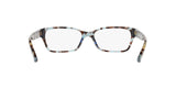 1692 - Blue Tortoise