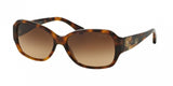 Coach 8011B Sunglasses