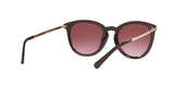 33448H - Cordovan Gradient