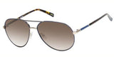 Gant 8017 Sunglasses