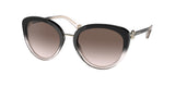Bvlgari 8226B Sunglasses