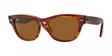 Ray Ban Laramie 4169 Sunglasses