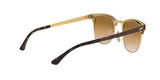 900851 - Havana - Clear Gradient Brown