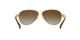 106/T5 - Gold - Brown Gradient Polarized