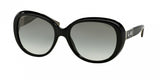 Coach 8120F Sunglasses