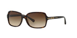 500113 - Havana - Brown Gradient