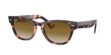 Ray Ban Laramie 2201 Sunglasses