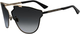 Dior Diorsorealfast Sunglasses