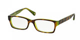 Coach Brooklyn 6040 Eyeglasses