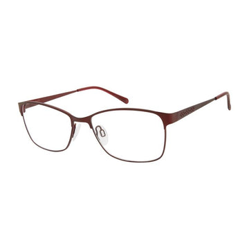 Aristar AR16389 Eyeglasses
