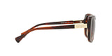 162513 - Brown - Smoke Gradient