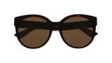 003 - Havana/Blue - Brown