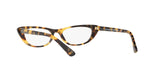 2605 - Brown Yellow Tortoise