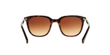 137813 - Havana - Brown Gradient