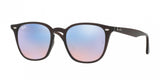 Ray Ban 4258F Sunglasses