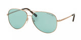 Michael Kors Kendall 5016 Sunglasses