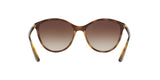 W65613 - Havana - Brown Gradient