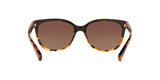 5438T5 - Havana - Brown Gradient Polar