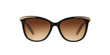 109013 - Black - Brown Gradient