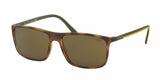 Polo 4115 Sunglasses