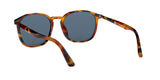 108256 - Tortoise Brown - Light Blue + Ar