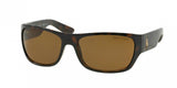 Polo 4074 Sunglasses