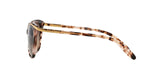 146313 - Havana - Dark Brown Gradient