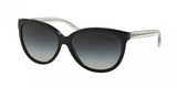 Coach L135 8153 Sunglasses