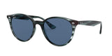 Ray Ban 4305F Sunglasses