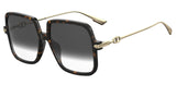 Dior Diorlink1 Sunglasses