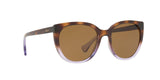 573683 - Dark Brown Polar