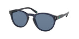 Polo 4172 Sunglasses