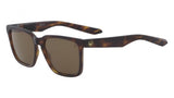 Dragon DR BAILE POLAR Sunglasses